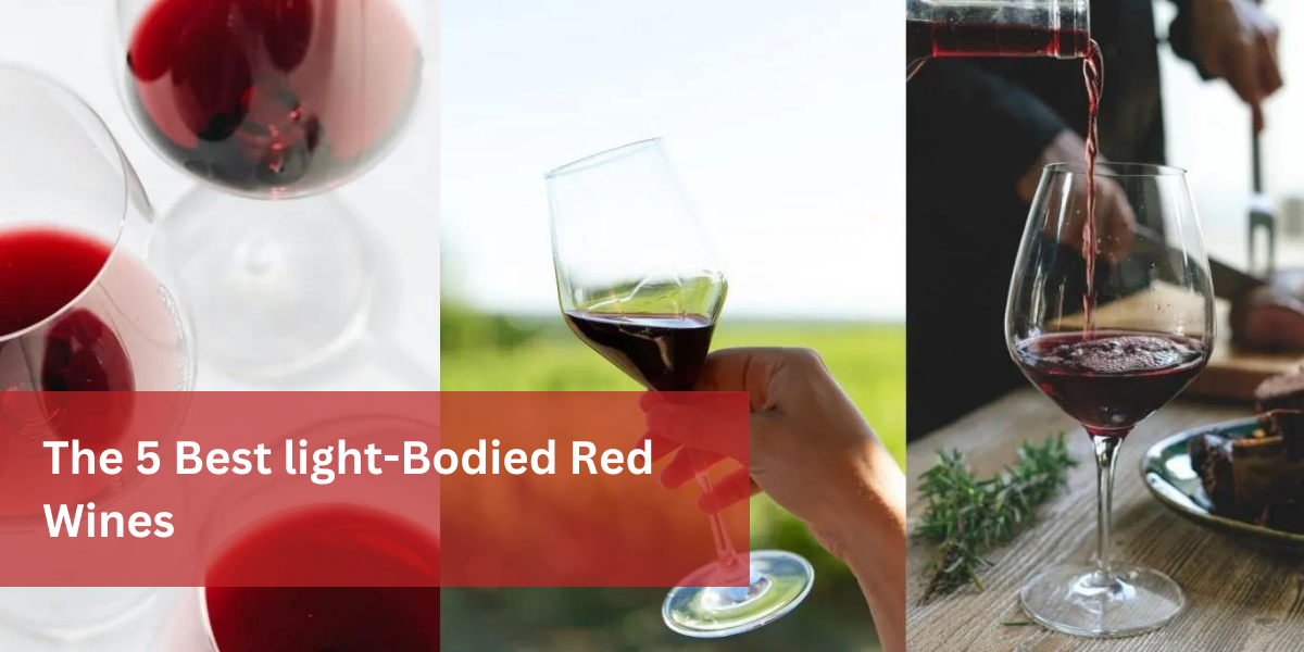 The 5 Best light-Bodied Red Wines