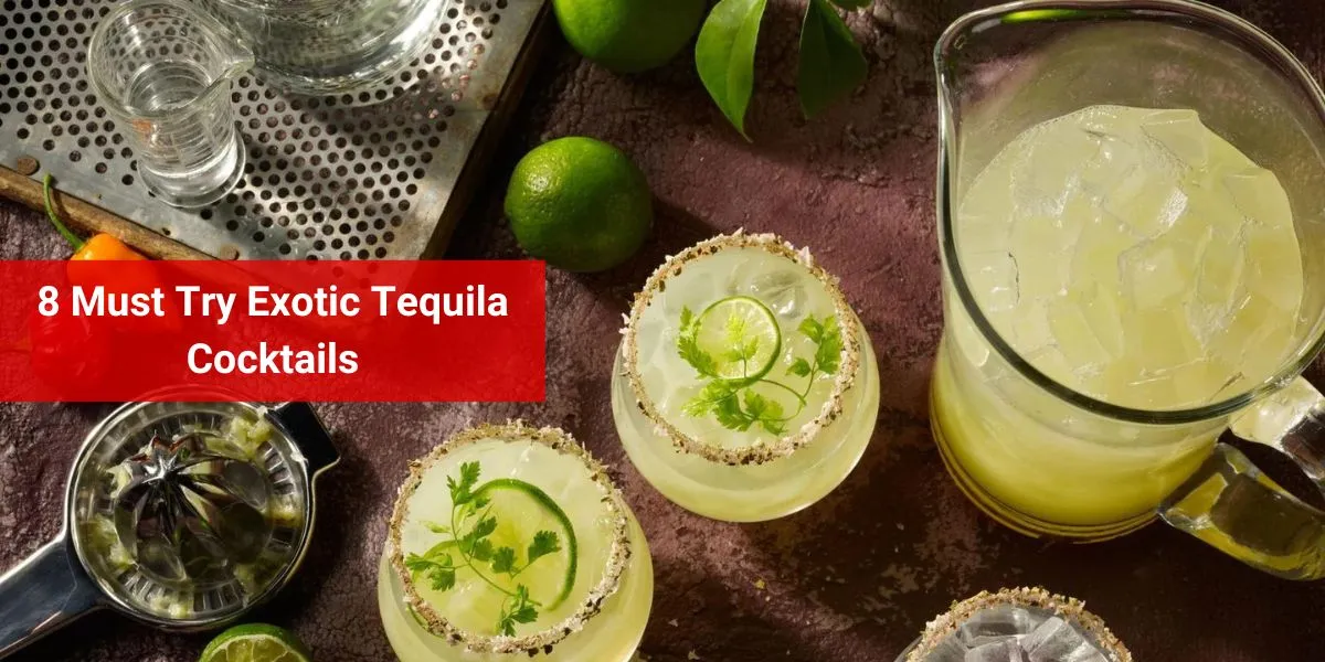 8 Must Try Exotic Tequila Cocktails