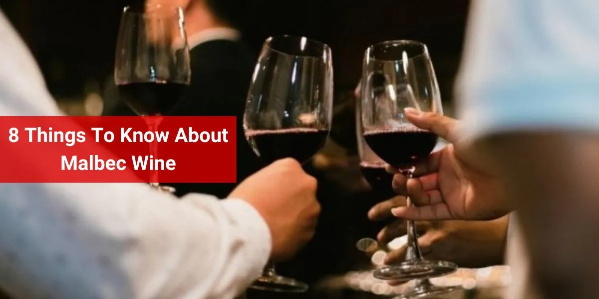 8 Things To Know About Malbec Wine