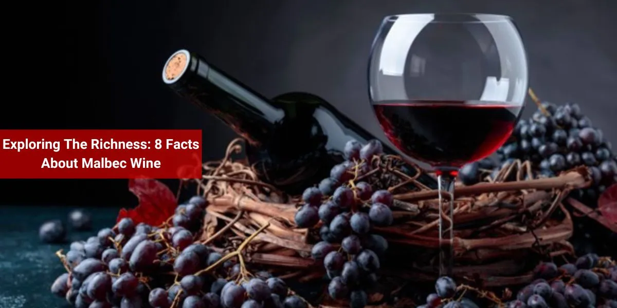 Exploring The Richness: 8 Facts About Malbec Wine