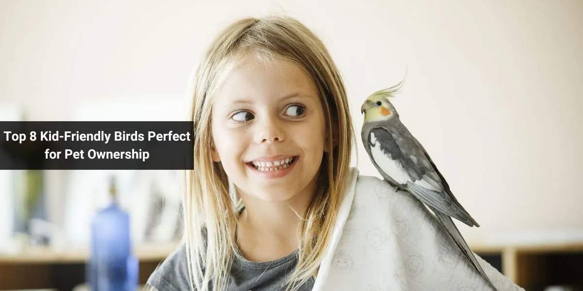 Top 8 Kid-Friendly Birds Perfect for Pet Ownership