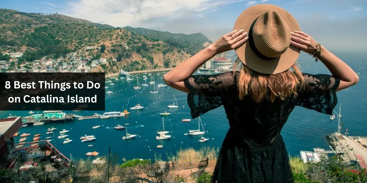 8 Best Things to Do on Catalina Island